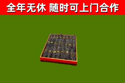 德清回收海参